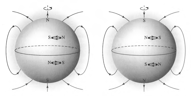 Sunspot Polarity